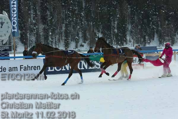 ET0Q1281h prot